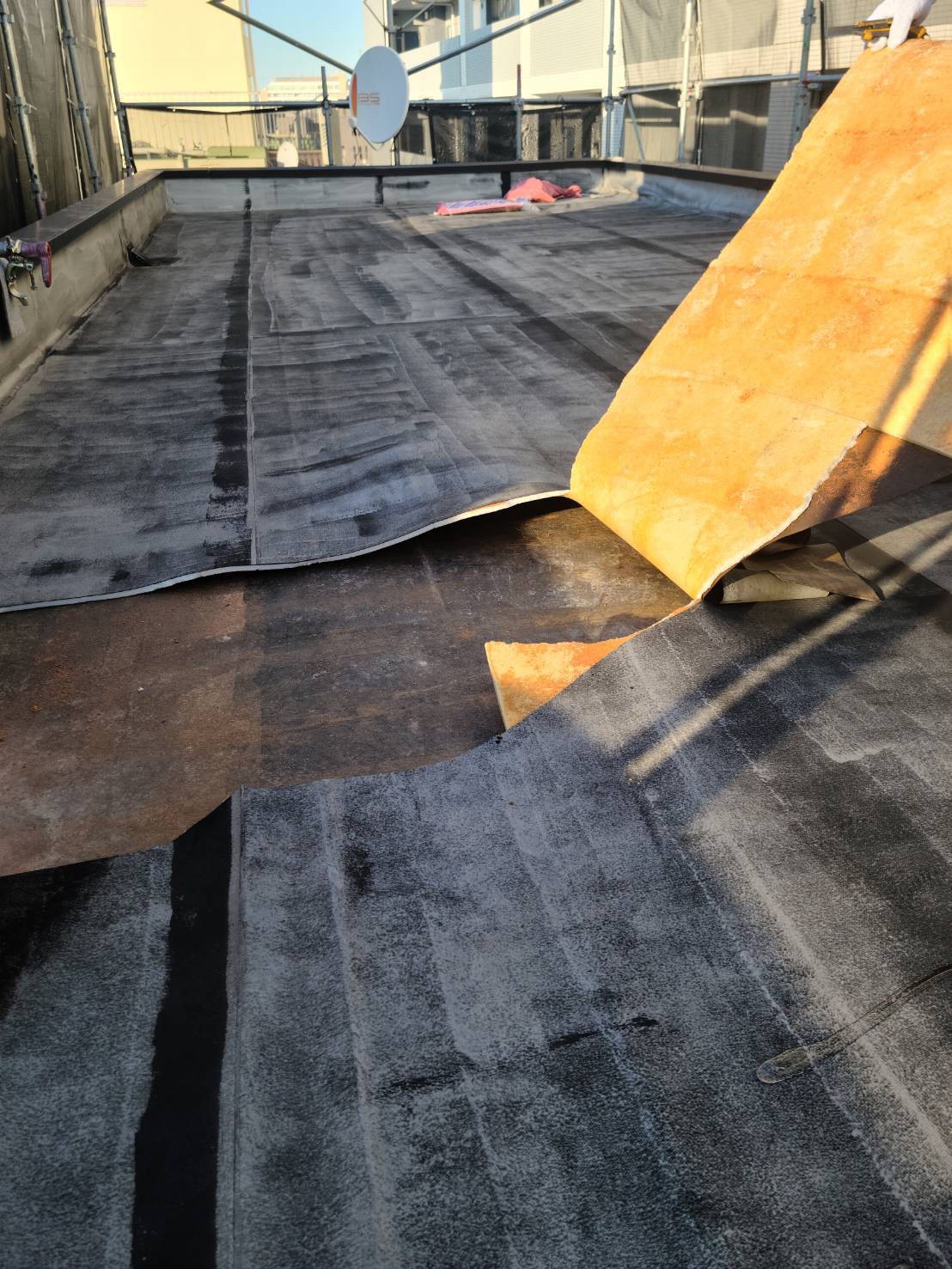屋上既存シート撤去