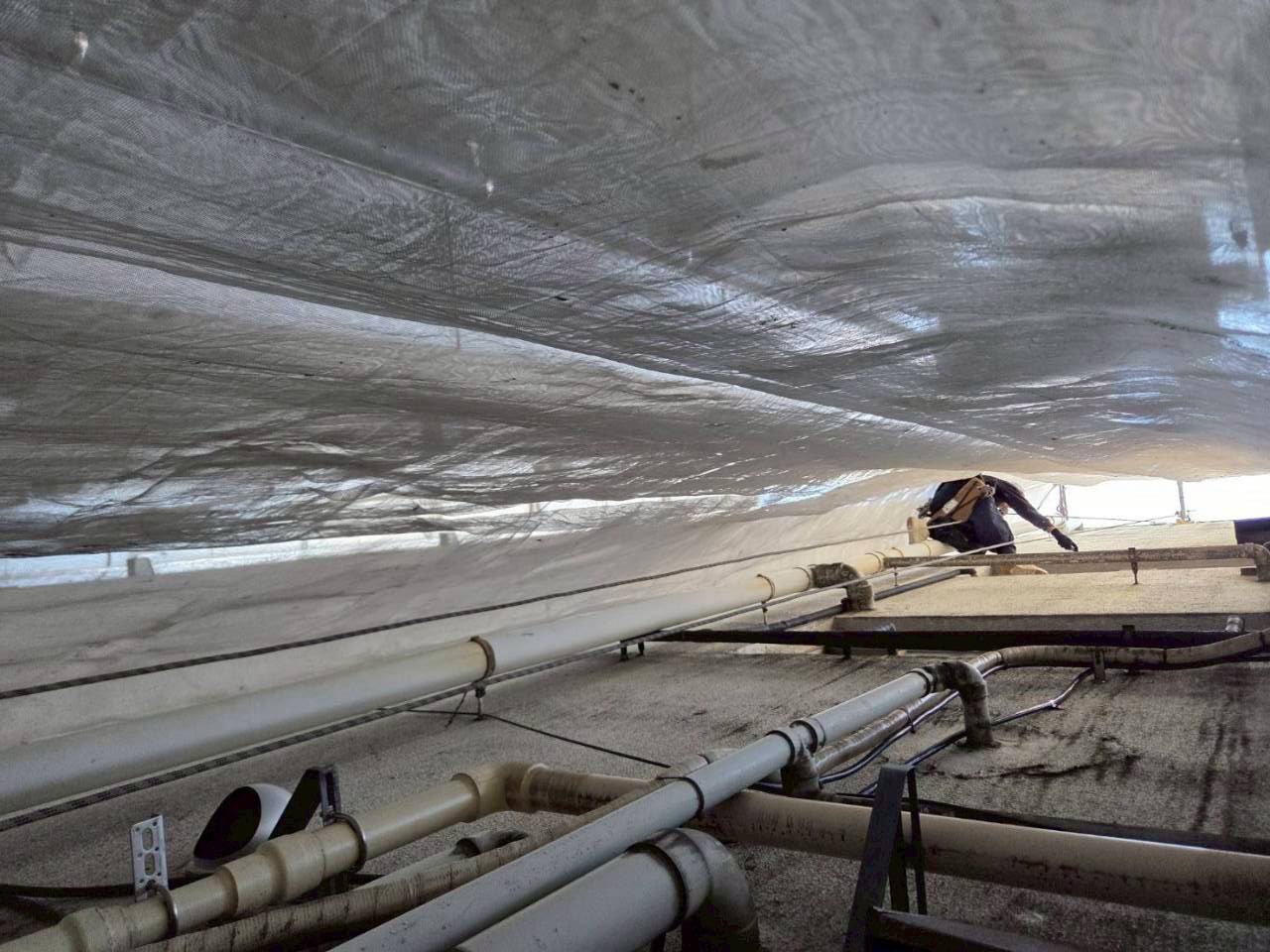 Tビル様東面一部外壁塗装工事（ロープアクセス工法）