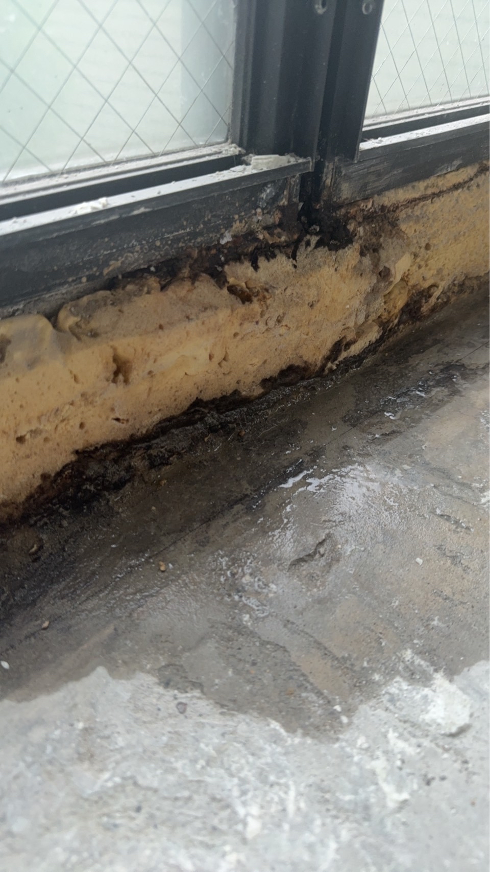 【東京】漏水調査の方法と会社の選び方｜ロープアクセス対応で原因を特定